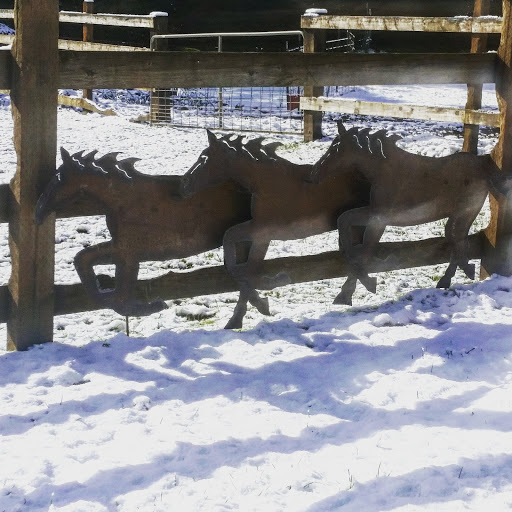 Tourist Attraction «Tollen Farm», reviews and photos, 11681 SW Tooze Rd, Wilsonville, OR 97070, USA