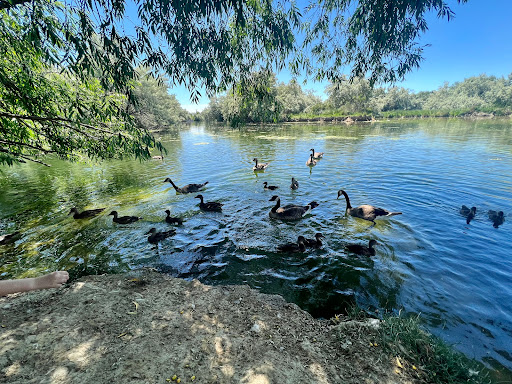 Nature Preserve «Wilson Springs Ponds», reviews and photos, 3209-3507 S Powerline Rd, Nampa, ID 83686, USA