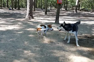 Selden Dog Park image