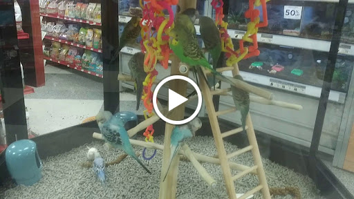 Pet Supply Store «Petco Animal Supplies», reviews and photos, 1450 Twixt Town Rd, Marion, IA 52302, USA