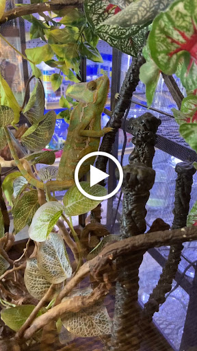 Pet Store «Animal Island Pet Shop», reviews and photos, 14411 S Cicero Ave, Midlothian, IL 60445, USA