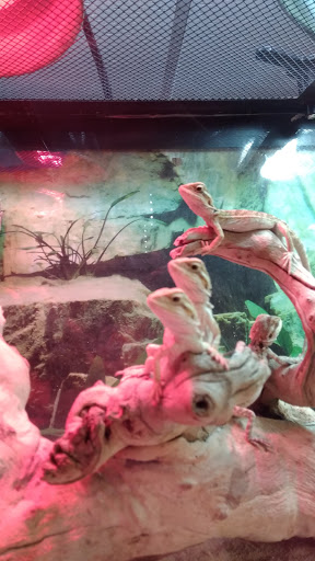 Pet Supply Store «Pet Station Jackson», reviews and photos, 1617 E Michigan Ave, Jackson, MI 49202, USA