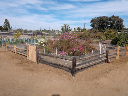 San Carlos Community Garden