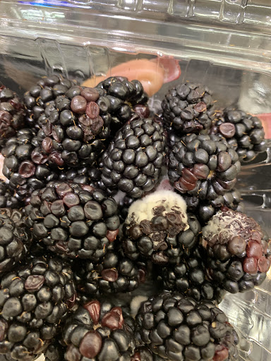 Supermarket «Stater Bros. Markets», reviews and photos, 81056 CA-111, Indio, CA 92201, USA