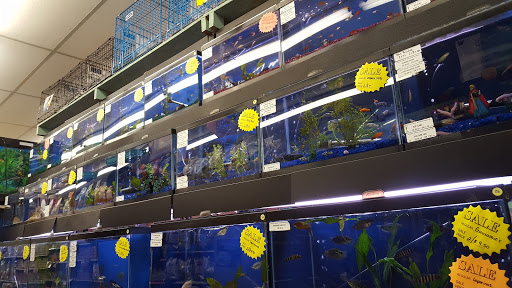 Pet Supply Store «Petland Discounts - Flushing», reviews and photos, 37-20 Main St, Flushing, NY 11354, USA