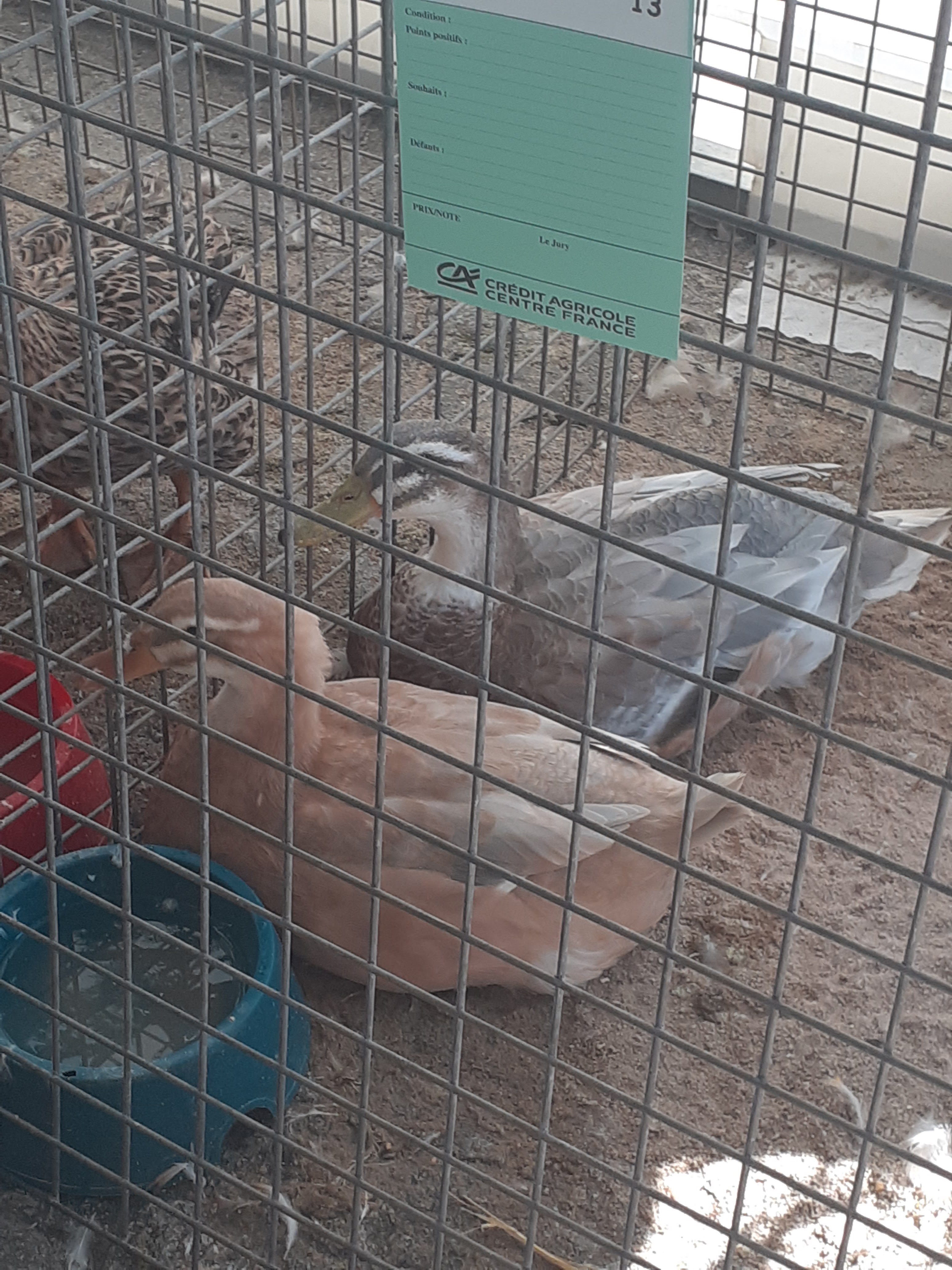 Photo n° 1 de l'avis de Chloe.a fait le 24/08/2019 à 15:17