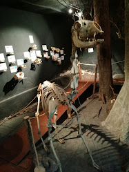 El Museo de Esqueletología