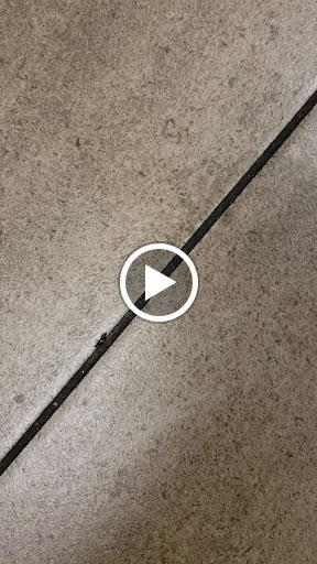 Health Club «XSport Fitness», reviews and photos, 222 Commons Dr, Chicago Ridge, IL 60415, USA