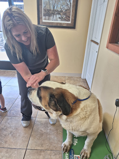 Central Hospital For Animals image