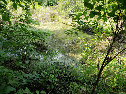 Nature Preserve «Elm Fork Nature Preserve Trail Entrance», reviews and photos, 2335 Sandy Lake Rd, Carrollton, TX 75006, USA