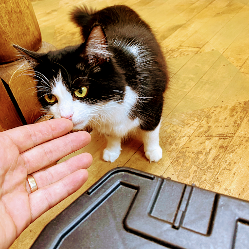 Appliance Store «J & B Appliance», reviews and photos, 9081 Darrow Rd, Twinsburg, OH 44087, USA