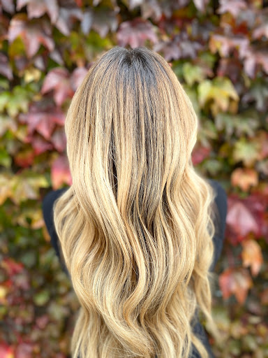 Beauty Salon «Figo Salon», reviews and photos, 265 N Old Woodward Ave, Birmingham, MI 48009, USA
