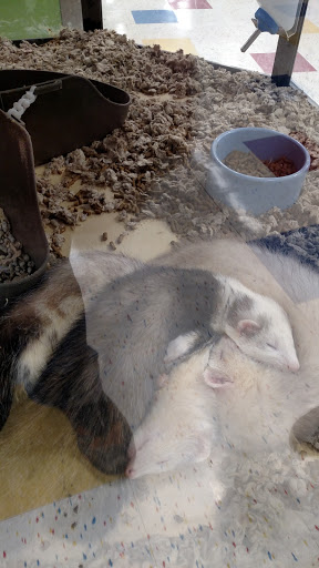 Pet Supply Store «Petco Animal Supplies», reviews and photos, 4820 South Baldwin Road #3B, Orion Township, MI 48359, USA