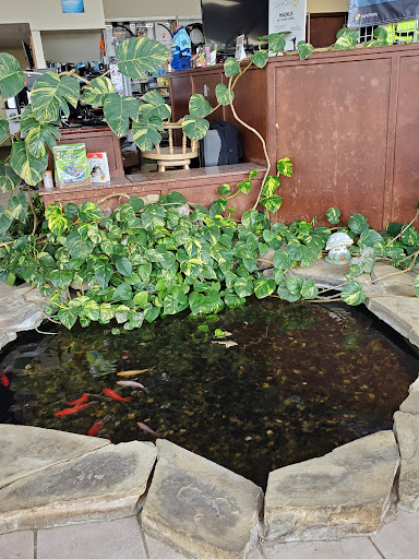 Bicycle Store «Bike One», reviews and photos, 159 24th Ave NW, Norman, OK 73069, USA