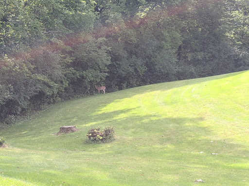 Golf Resort «Geneva National Golf Club», reviews and photos, 1221 Geneva National Ave S, Lake Geneva, WI 53147, USA