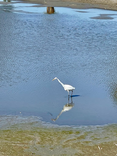 Golf Course «Navy Golf Course», reviews and photos, 5660 Orangewood Ave, Cypress, CA 90630, USA