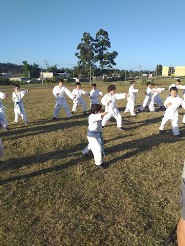 Comentarios y opiniones de Academia de Karate Escuela Shotokan Maldonado