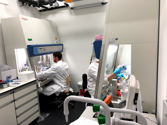 Rezensionen über Snijder Lab in Zürich - Labor