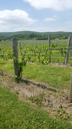 Vineyard «Breaux Vineyards», reviews and photos, 36888 Breaux Vineyards Ln, Purcellville, VA 20132, USA