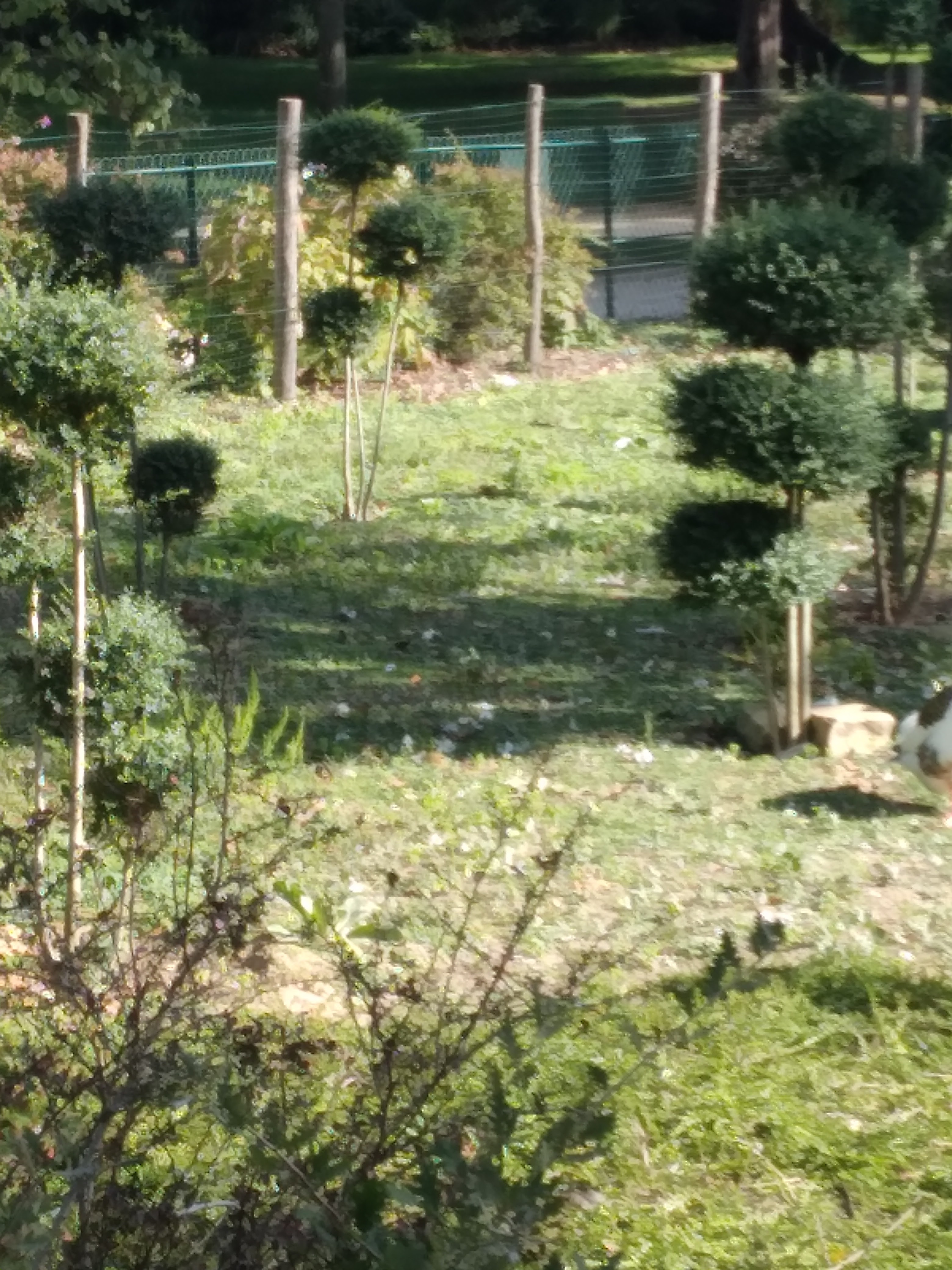 Photo n° 3 de l'avis de Dany.y fait le 07/10/2023 à 16:29