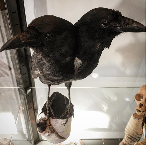 Tattoo Shop «Shop 53 Custom Tattoo and Art Studio», reviews and photos, 6 St Marys Ave #102, La Plata, MD 20646, USA