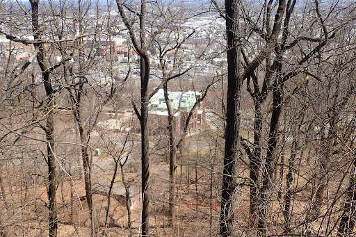 History Museum «Lambert Castle Museum», reviews and photos, 3 Valley Rd, Paterson, NJ 07503, USA