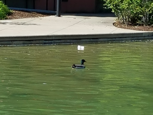 Movie Theater «Cinemark 12 Rockwall», reviews and photos, 2125 Summer Lee Dr, Rockwall, TX 75032, USA