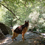 Photo n° 2 de l'avis de Onee.a fait le 10/08/2022 à 15:25 pour Aire de pique-nique à Saint-Junien