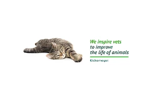 Eickemeyer Medizintechnik für Tierärzte KG image