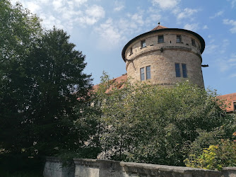 Museum der Universität Tübingen (MUT)