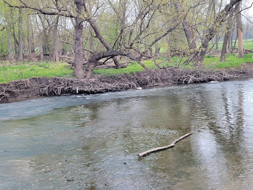 Nature Preserve «Forest Glen Woods», reviews and photos, 5420 N Forest Glen Ave, Chicago, IL 60630, USA