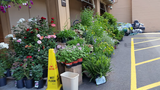 Produce Market «Fresh Acres Market», reviews and photos, 1941 Wilbraham Rd, Springfield, MA 01129, USA