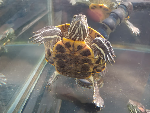 Pet Supply Store «Petco Animal Supplies», reviews and photos, 244 Pioneer Trail, Chaska, MN 55318, USA