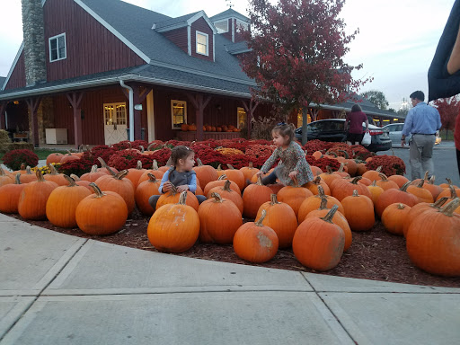 Produce Market «Mann Orchards», reviews and photos, 27 Pleasant Valley St, Methuen, MA 01844, USA