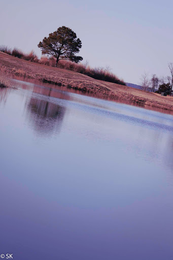 Public Golf Course «Queenstown Harbor Golf Course», reviews and photos, 310 Links Ln, Queenstown, MD 21658, USA