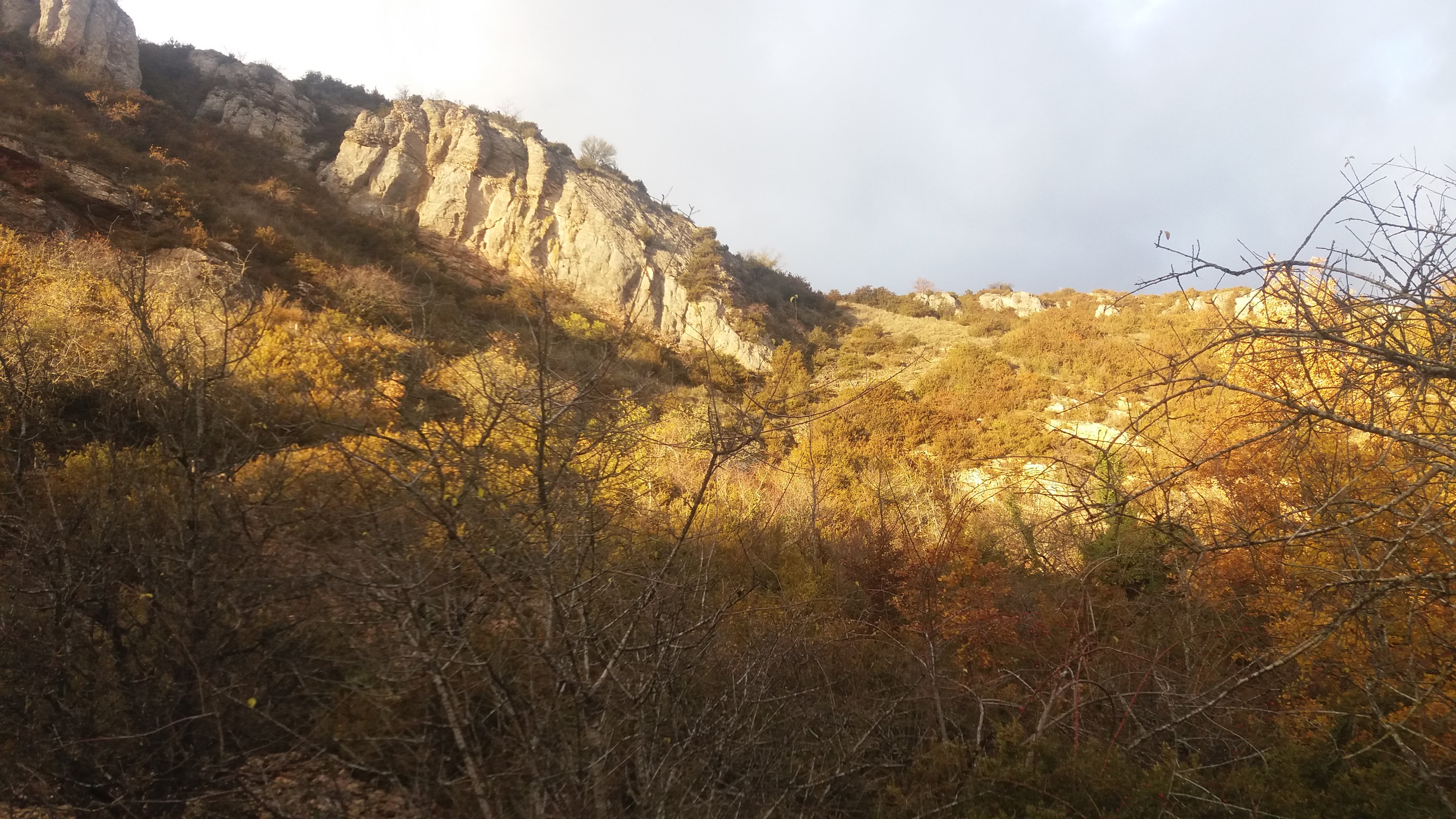 Photo n° 10 de l'avis de Kylian.u fait le 26/03/2018 à 06:09