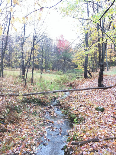 Disc Golf Course «Brewster Ridge Disc Golf Course», reviews and photos, 1239 Edwards Rd, Jeffersonville, VT 05464, USA