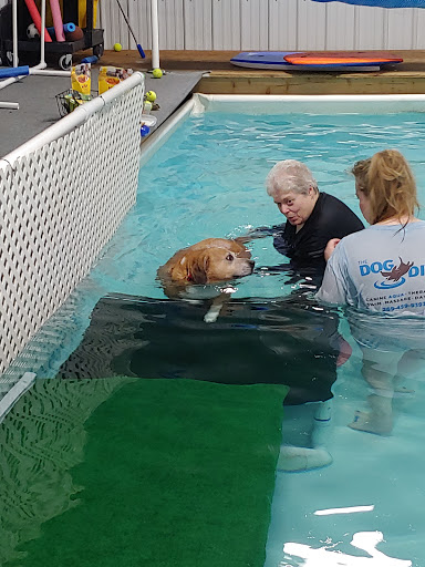 Pet Store «The Dog Dive», reviews and photos, 1613 Riverview Dr, Kalamazoo, MI 49004, USA