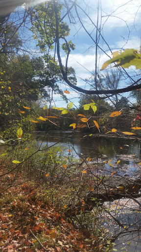 National Park «First State National Historical Park - Peters Rock Parking», reviews and photos, Thompsons Bridge Rd, Wilmington, DE 19803, USA