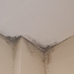 Photo n°2 de l'avis de Katarzyna.a fait le 06/11/2023 à 08:50 sur le  Paradise Hotel & Wellness à Saint-Vincent