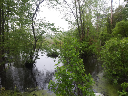 Park «Glassboro Wildlife Management Area», reviews and photos, Fries Mill Rd, Clayton, NJ 08312, USA