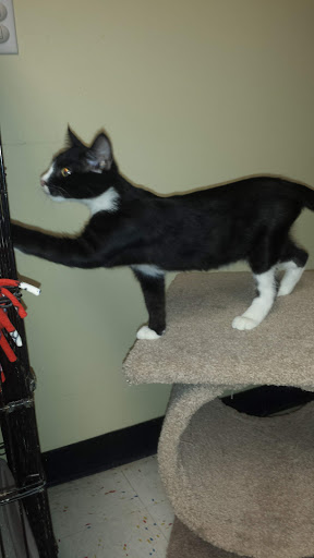 Pet Supply Store «Petco Animal Supplies», reviews and photos, 330 Orchard Park Rd, West Seneca, NY 14224, USA