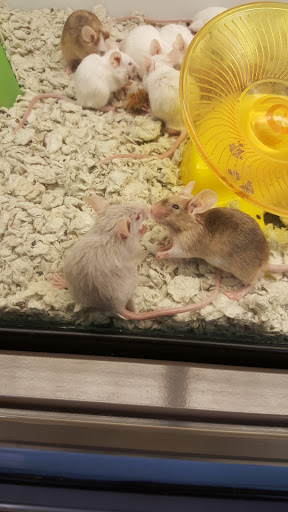 Pet Supply Store «Petco Animal Supplies», reviews and photos, 2250 Petrie Ln #518, Lanham, MD 20706, USA