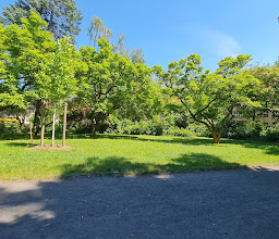 Park am Rathaus Lankwitz photo