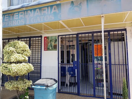 CLINICA VETERINARIA PERROS Y GATOS