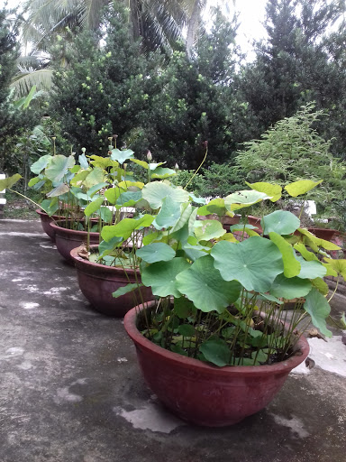 Du Lịch Bảo Trinh