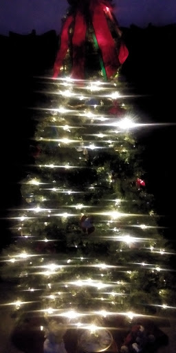 Discount Store «Dollar General», reviews and photos, 26783 US-380, Aubrey, TX 76227, USA