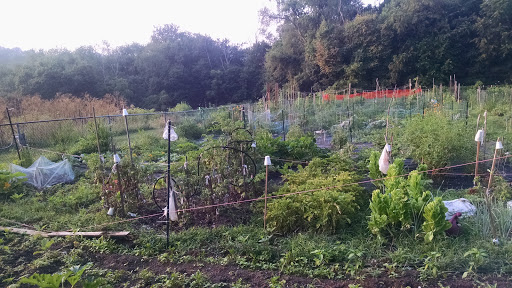 Golf Course «Mt. Lebanon Golf Course», reviews and photos, 1000 Pine Ave, Pittsburgh, PA 15234, USA