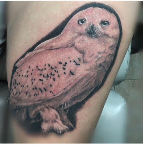 Tattoo Shop «Prophecy Ink Tattoo Studio & Fine Art Gallery», reviews and photos, 907 Baxter Ave, Louisville, KY 40204, USA