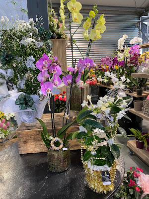 L'ART des FLEURS maison Di Scipio à Digoin